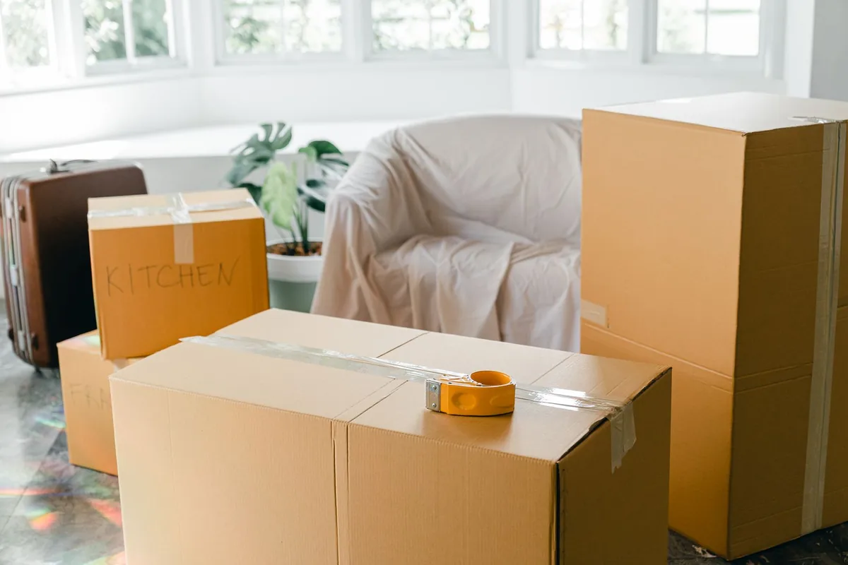 Hoarding Cleanup in Wilbraham, MA